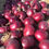 Thumbnail: HOLLAND ONION