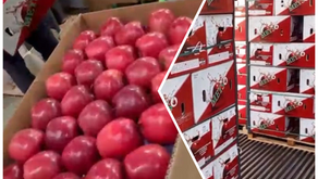Demand and pricing for Red Delicious apples are expected to remain strong in India