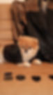 page0.jpg