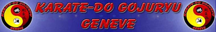 Karate-do Goju-Ryu Genève