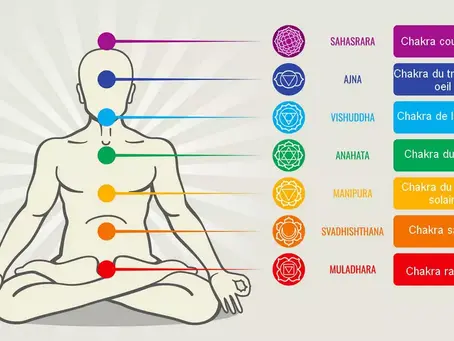 dessin du corps humain avec le placement des chakras