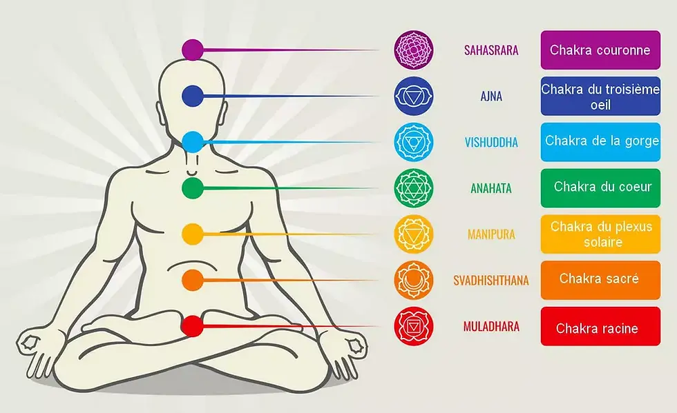 dessin du corps humain avec le placement des chakras