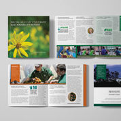Designed a booklet for a MSU Sustainability report that incorporating the department's mission and MSU branding guidelines. 