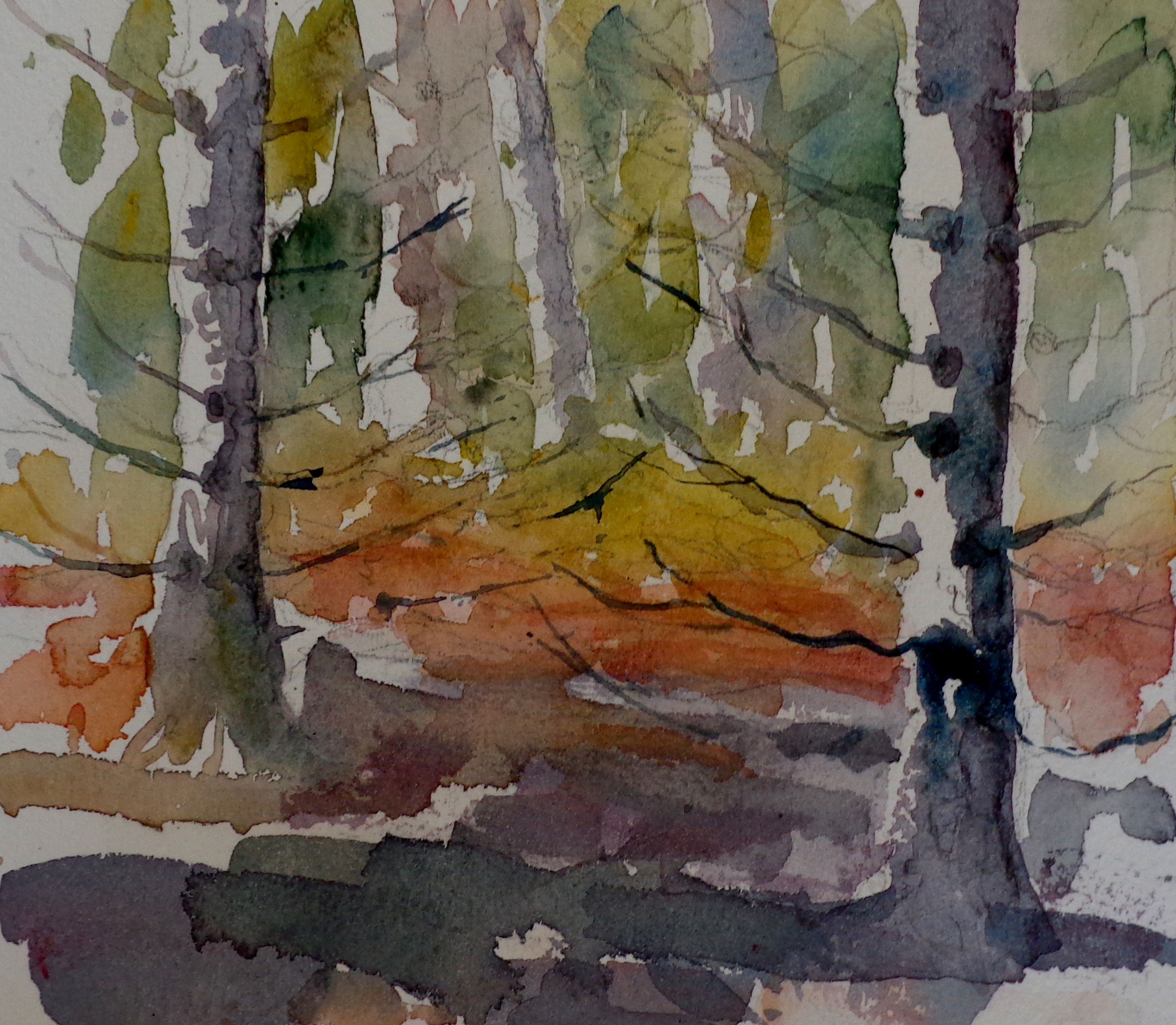 COLORFUL PINES - Matted 11" x 11"