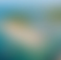 Campinhos de Maraú: praia tranquila e sabor no Bar da Iolanda