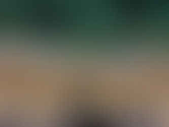 chegada Praia de Algodões Bahia