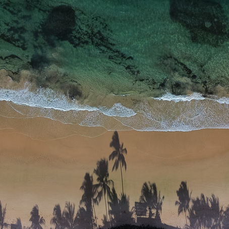 Como chegar na Praia de Algodões (e por que vir na lua cheia ou na lua nova faz toda a diferença)