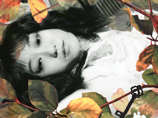 Haco - Secret Garden