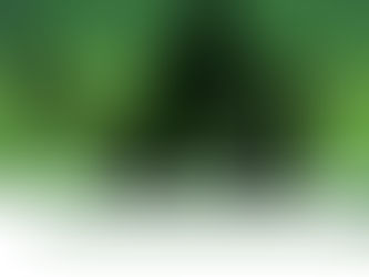 Boris - Tokyo Wonder Land