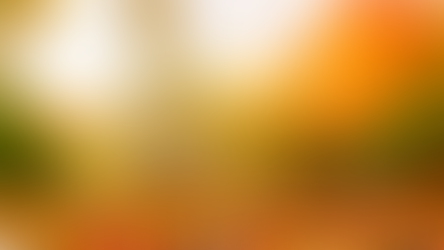 Nyhetsbrev oktober💛