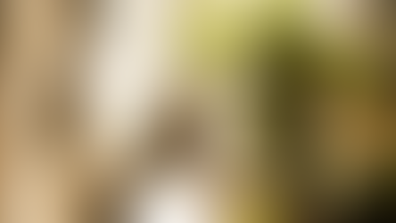 Andlig, medial & intuitiv vägledning