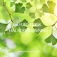 ayurvedisk hälsorådgivning