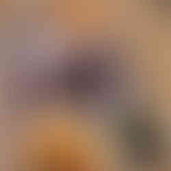 tacos på svarta bönor