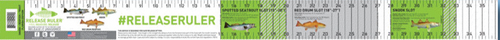 Release Ruler - FL Slam Ruler Trout, Redfish & Snook