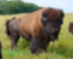 D7K_3647.JPG