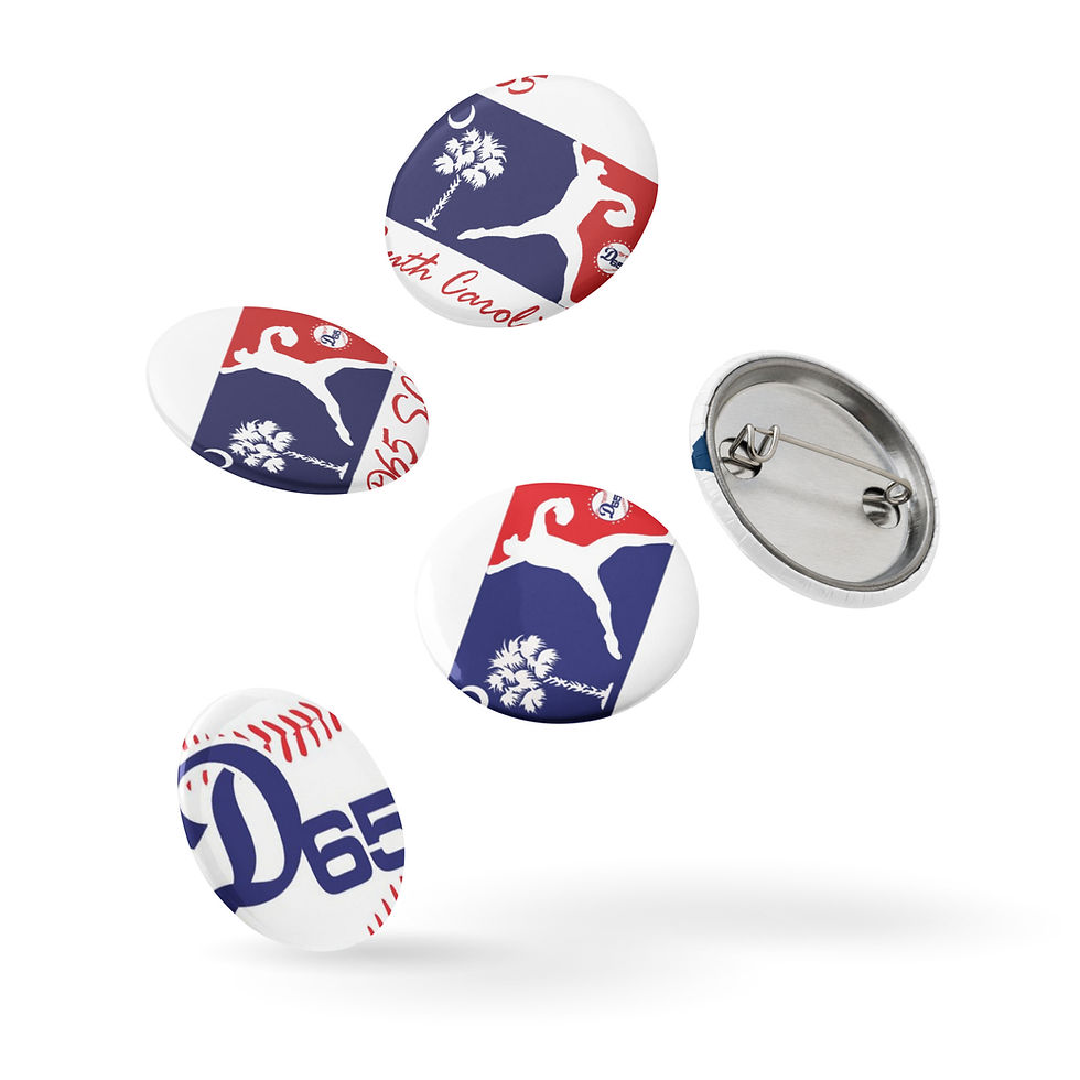 Thumbnail: D65 South Carolina 5 Piece Pin Set (Special Edition)