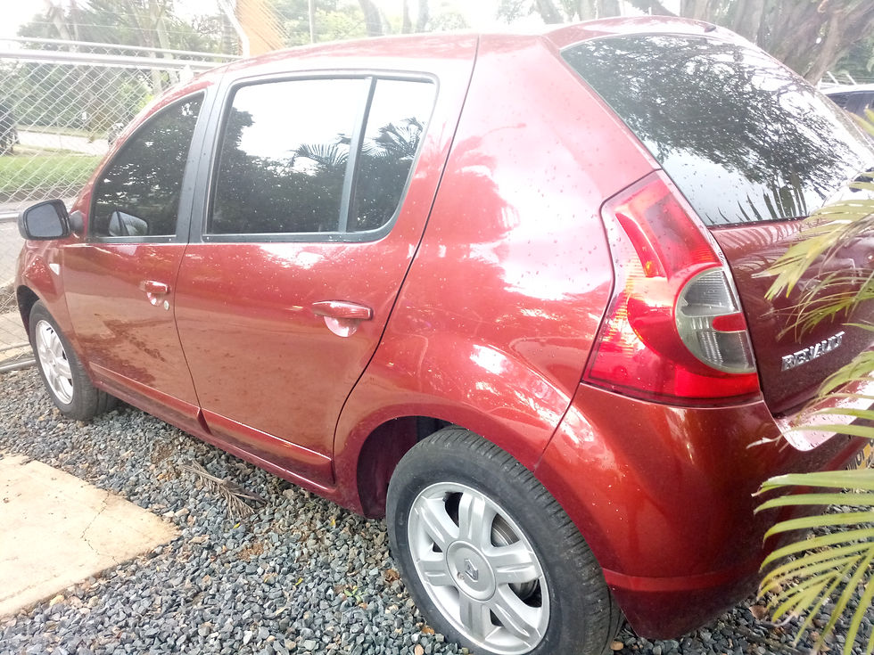 Miniatura: RENAULT SANDERO