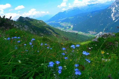 Spring in Stubai.jpeg