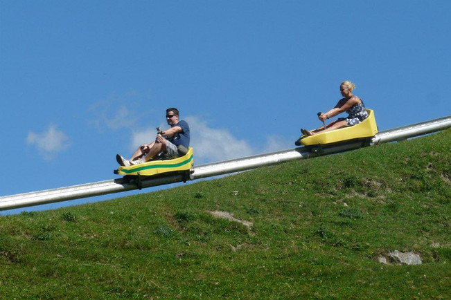 Sommerrodelbahn Serles.jpeg