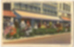 green bench st pete history