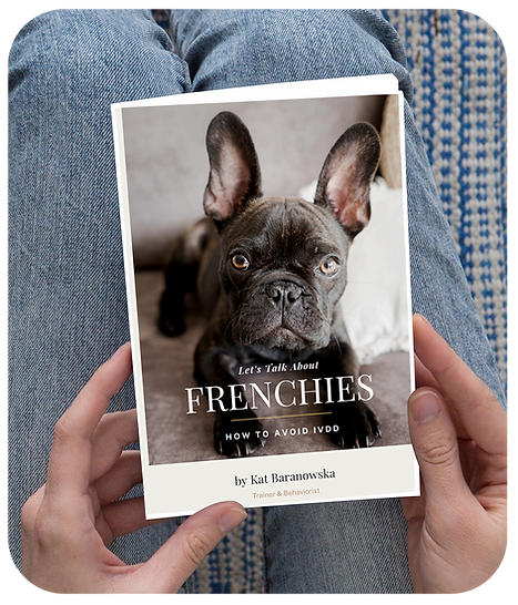 french-bulldog-ivdd.png