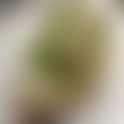 Asparagus Salad and Hummus on Toast