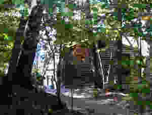 cabin