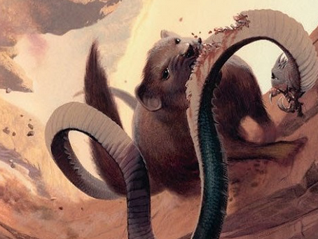 Going Delirious in Pauper