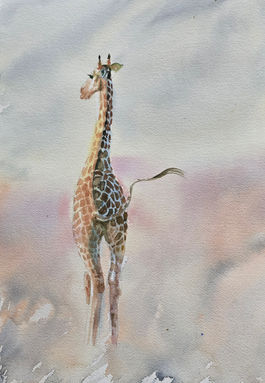 Giraffe in the desert