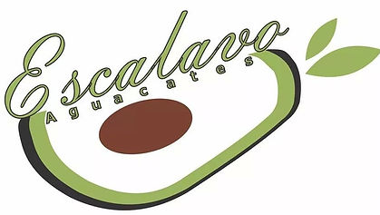 Logo.jpg