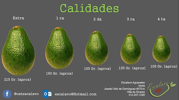 Calidad.jpg