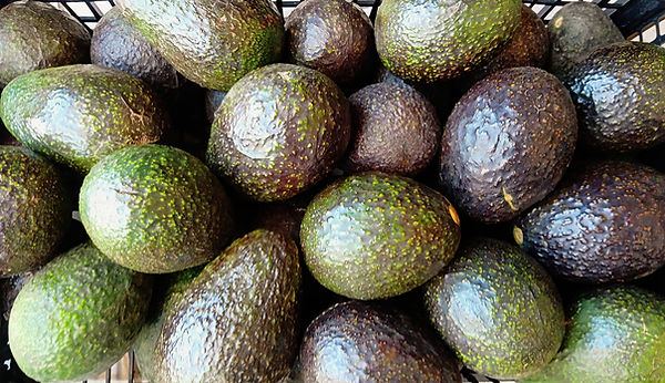 CYMERA_20190325_113002.jpg