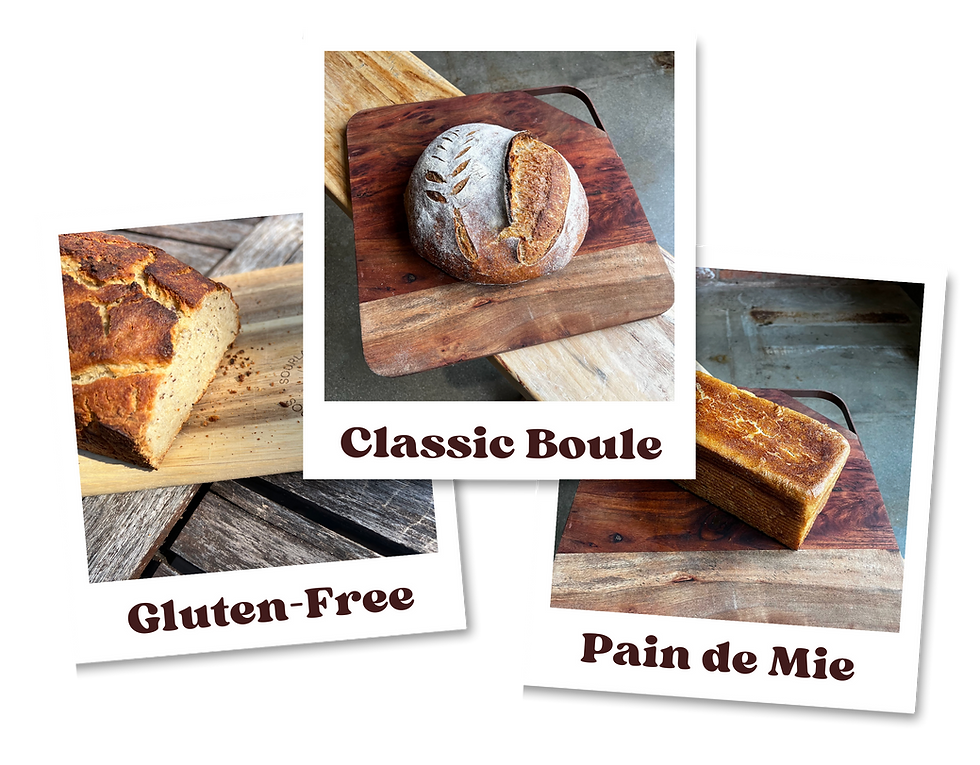 Subscriptions Flyer.png