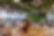Arboretum images5.jpeg