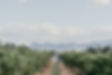 165757-138.jpg