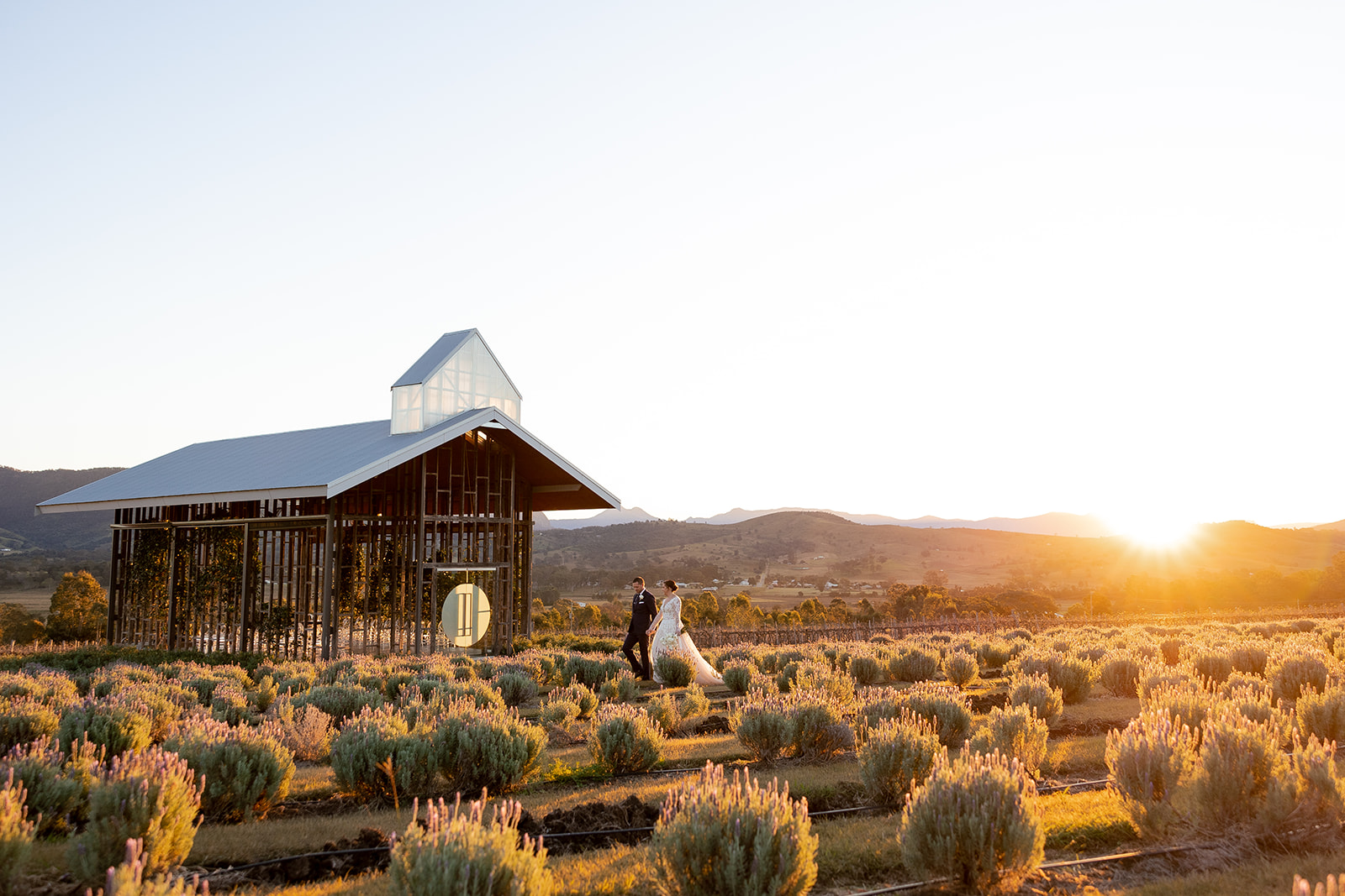 Kooroomba Vineyard & Lavender Farm