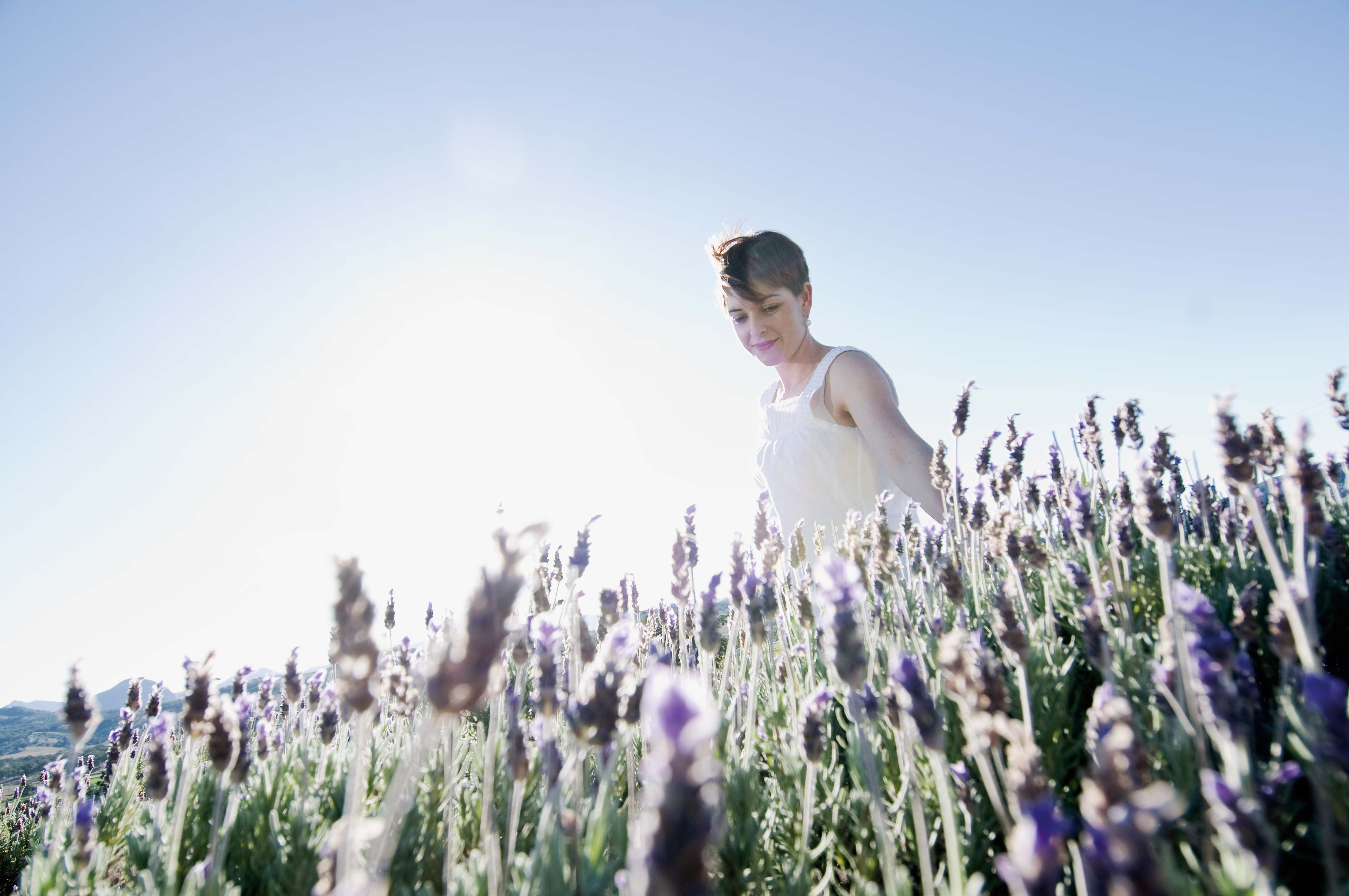 Kooroomba Vineyard & Lavender Farm