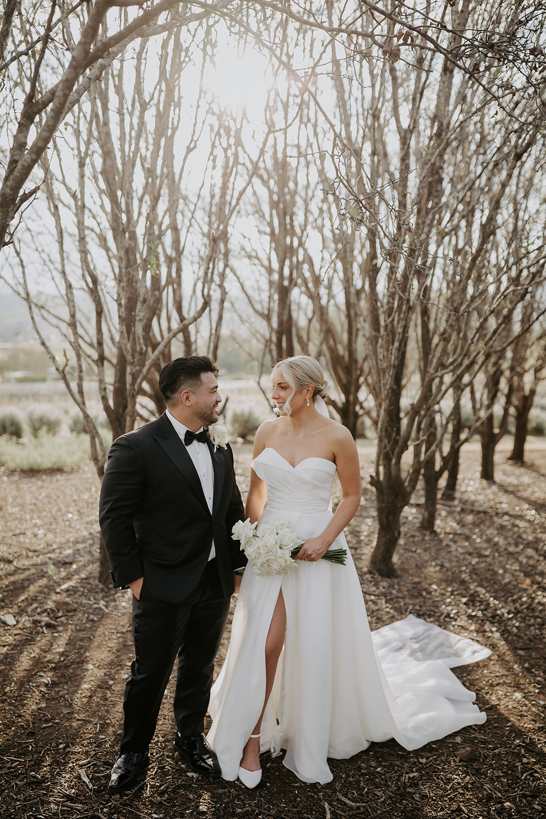 Kooroomba Vineyard & Lavender Farm