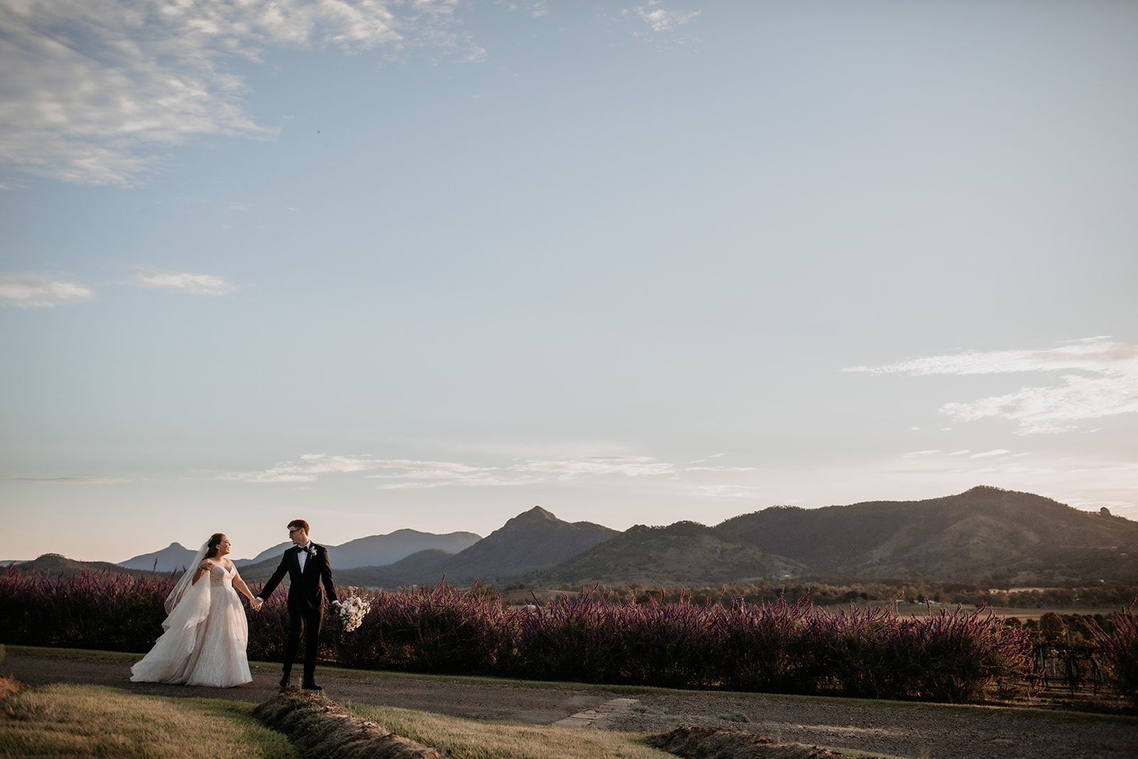 Kooroomba Vineyard & Lavender Farm