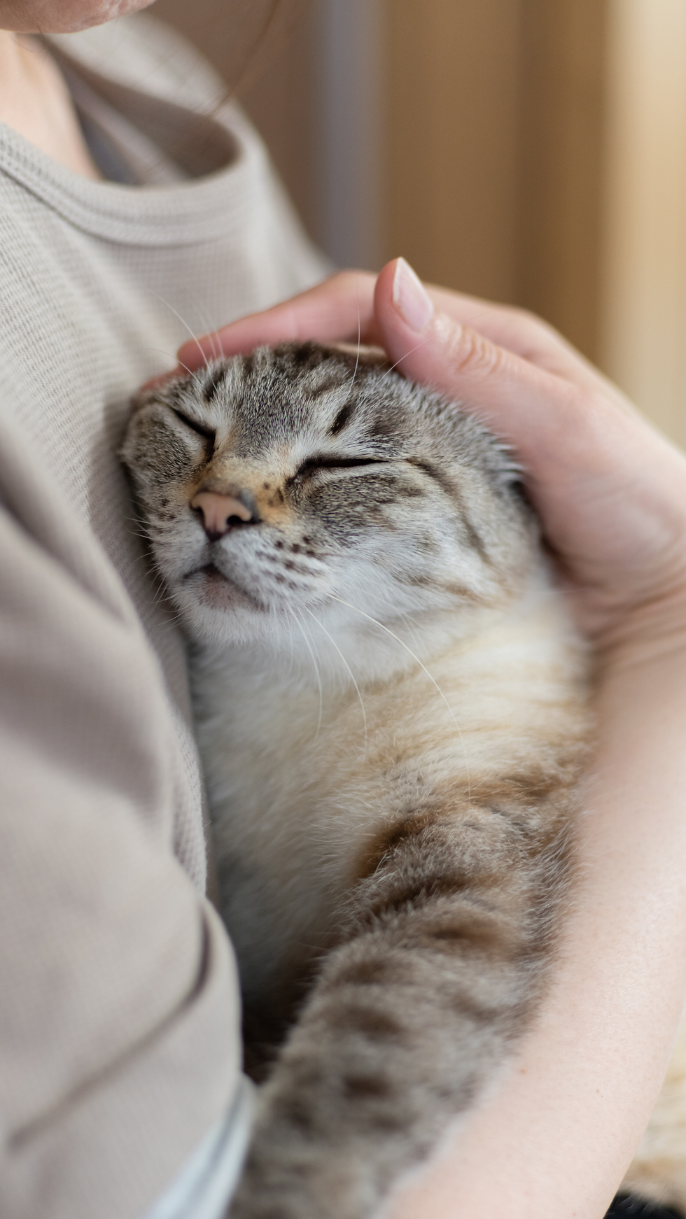 Torch Card Support NPOs