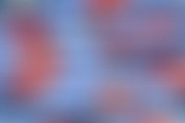 تأثير سعر حقنة أوزمبيك على ميزانيتك
