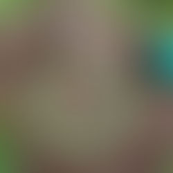 Eğitimin Temelleri: Doğa ve Zanaat