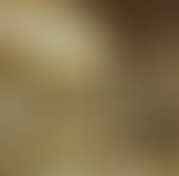 İskenderiye ve Bergama Kütüphanelerinin Karşılaştırılması