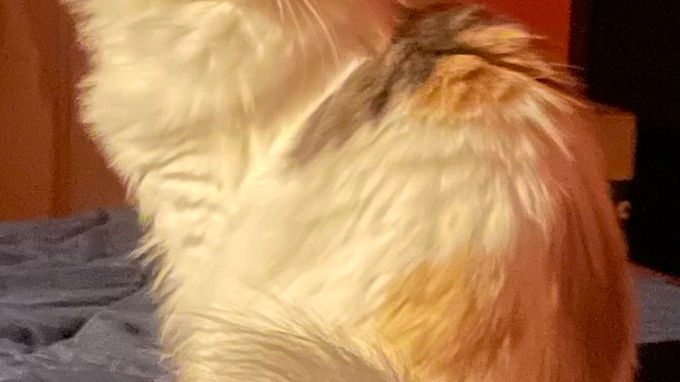Rhea