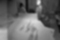 MP_0021_14.jpg