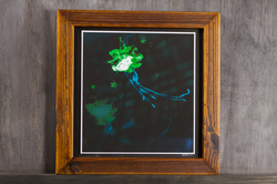 Echo - Fluid Dynamics