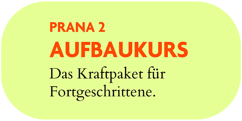 Seite Pranakurse