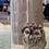 Thumbnail: Magnificent  owl sculpture