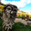 Thumbnail: Magnificent  owl sculpture