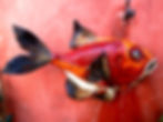 Red Wall Fish by Sylvain Bongard
